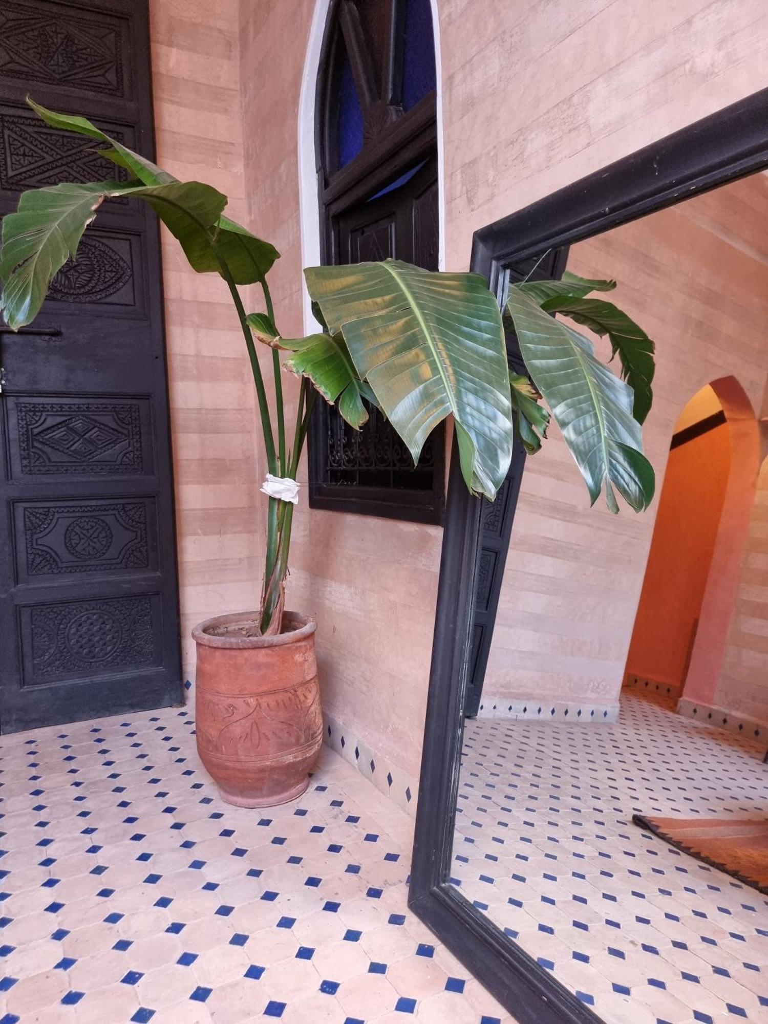 Riad Black Doors Marrakesh Exterior photo