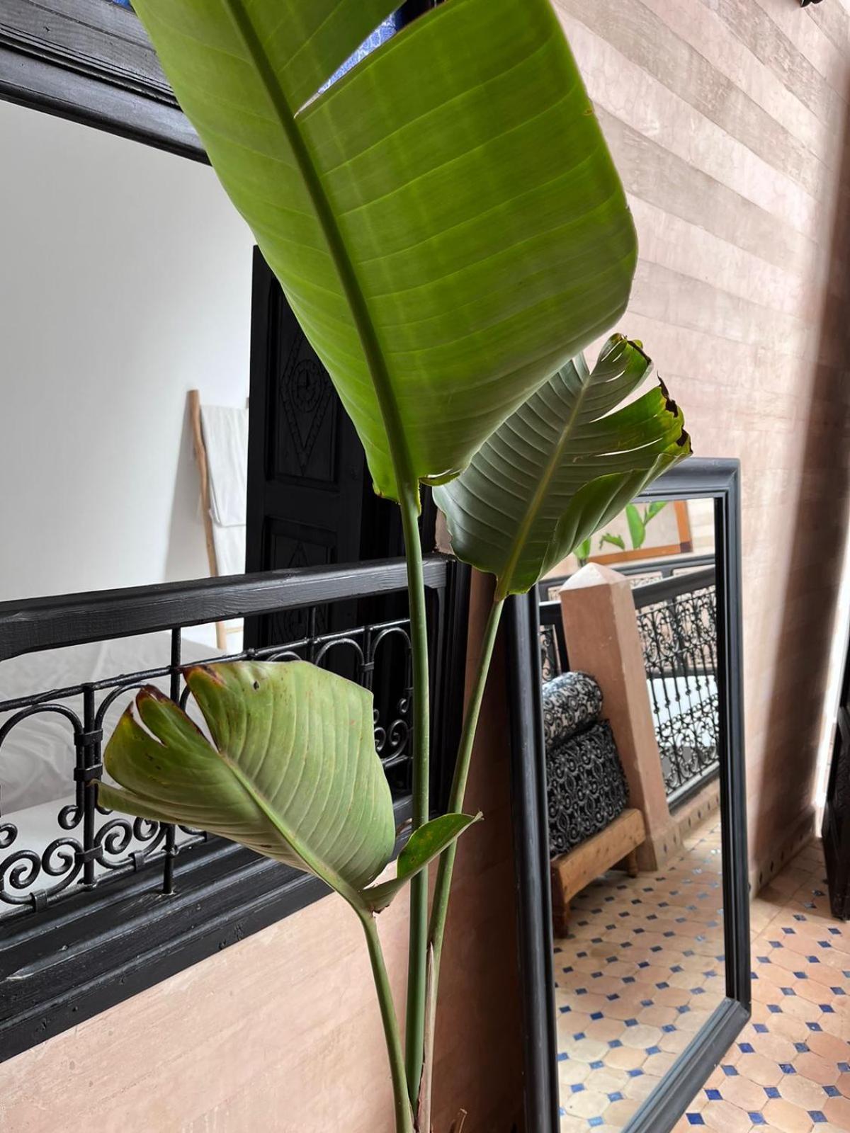 Riad Black Doors Marrakesh Exterior photo