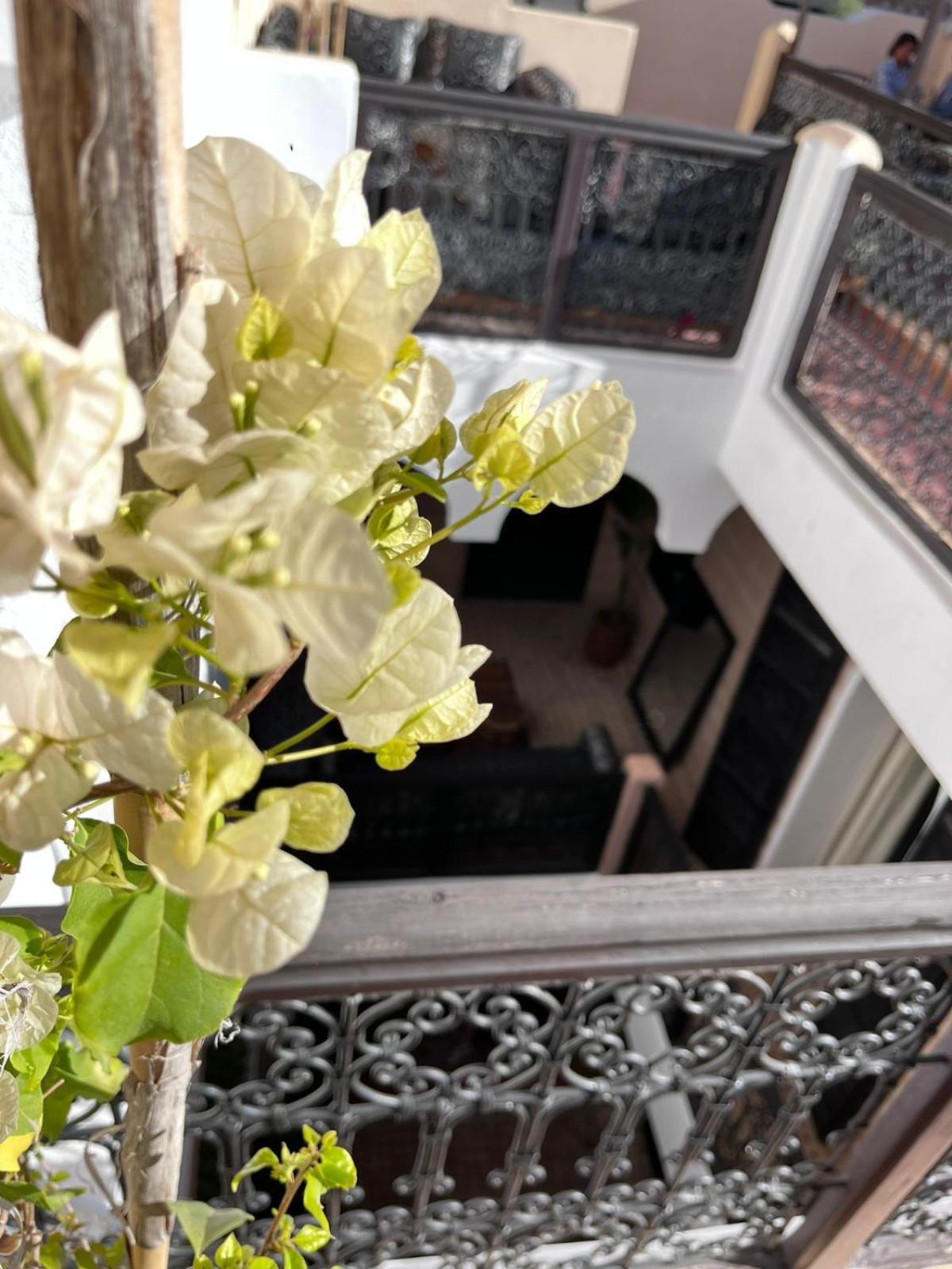 Riad Black Doors Marrakesh Exterior photo